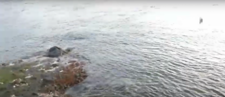 釣り自粛解禁1発目！！青物釣行ｗ